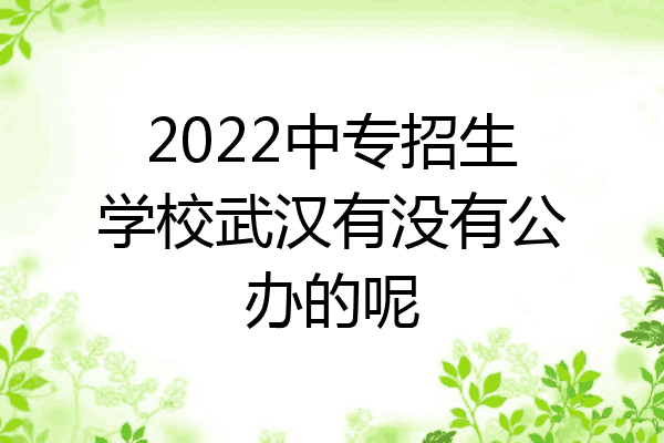 2022中专招生学校武汉有没有公办的呢