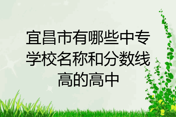 宜昌市有哪些中专学校名称和分数线高的高中
