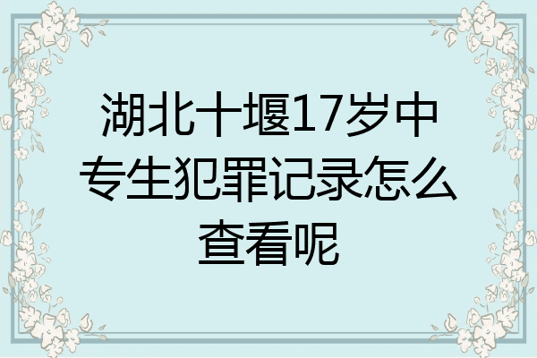 湖北十堰17岁中专生犯罪记录怎么查看呢