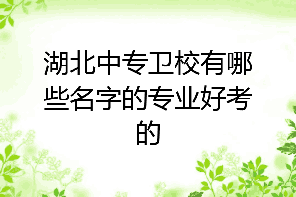 湖北中专卫校有哪些名字的专业好考的