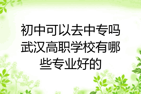 初中可以去中专吗武汉高职学校有哪些专业好的