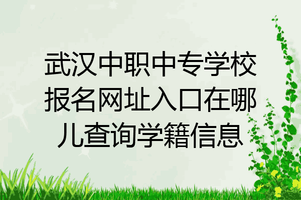 武汉中职中专学校报名网址入口在哪儿查询学籍信息