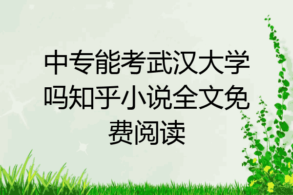 中专能考武汉大学吗知乎小说全文免费阅读