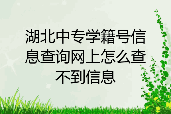湖北中专学籍号信息查询网上怎么查不到信息