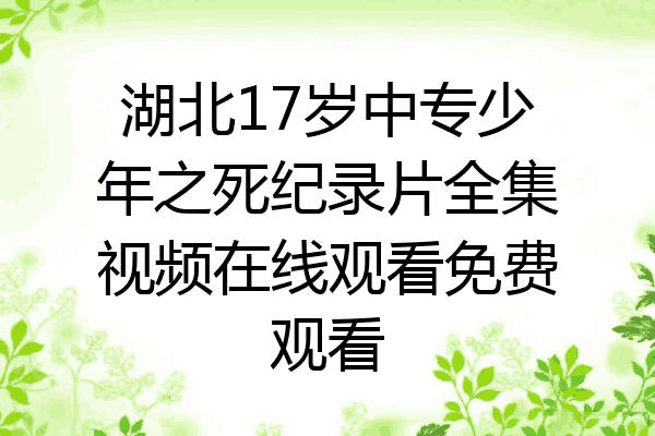 湖北17岁中专少年之死纪录片全集视频在线观看免费观看