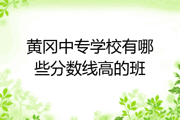黄冈中专学校有哪些分数线高的班