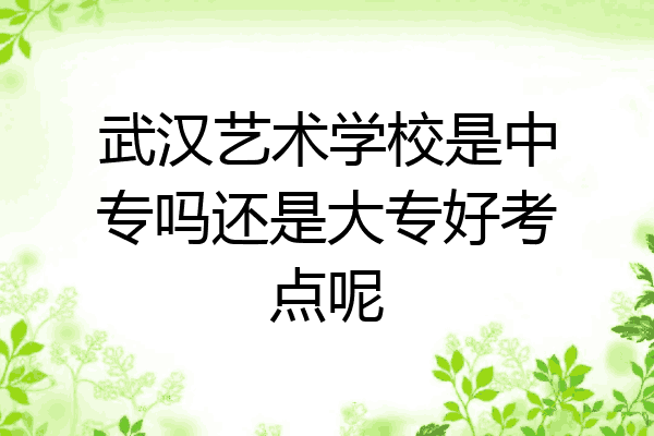 武汉艺术学校是中专吗还是大专好考点呢