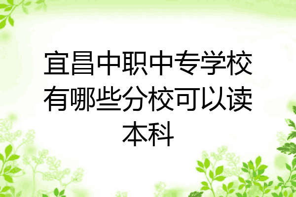 宜昌中职中专学校有哪些分校可以读本科