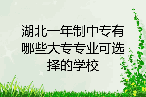 湖北一年制中专有哪些大专专业可选择的学校
