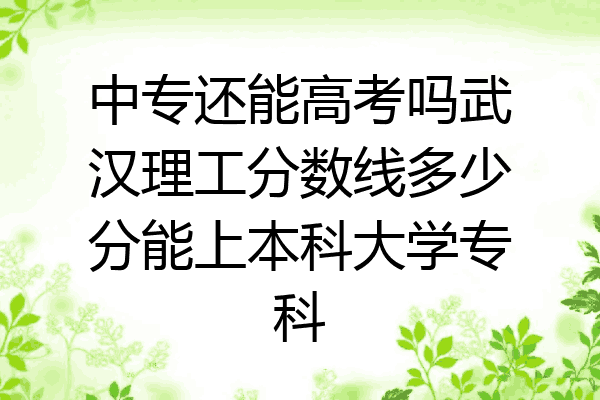中专还能高考吗武汉理工分数线多少分能上本科大学专科