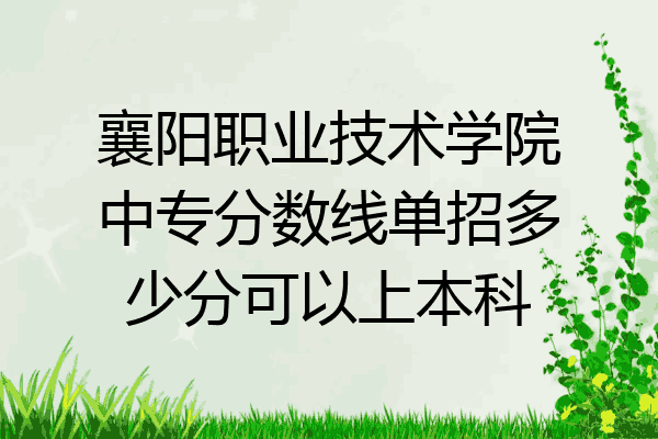 襄阳职业技术学院中专分数线单招多少分可以上本科