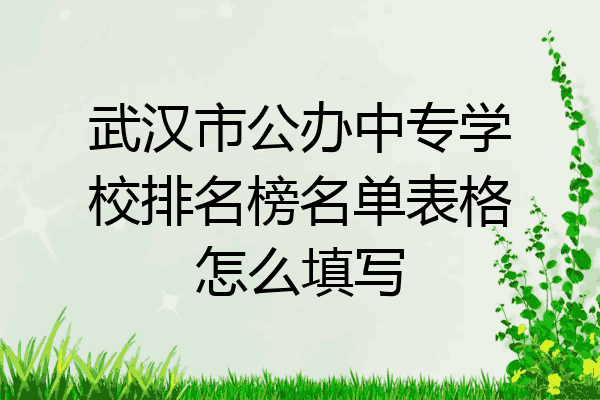 武汉市公办中专学校排名榜名单表格怎么填写