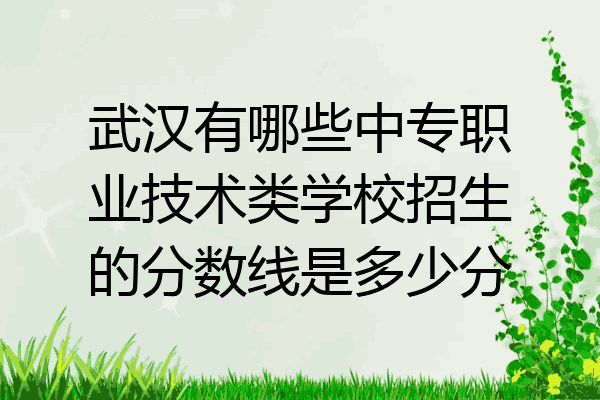 武汉有哪些中专职业技术类学校招生的分数线是多少分