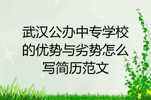 武汉公办中专学校的优势与劣势怎么写简历范文