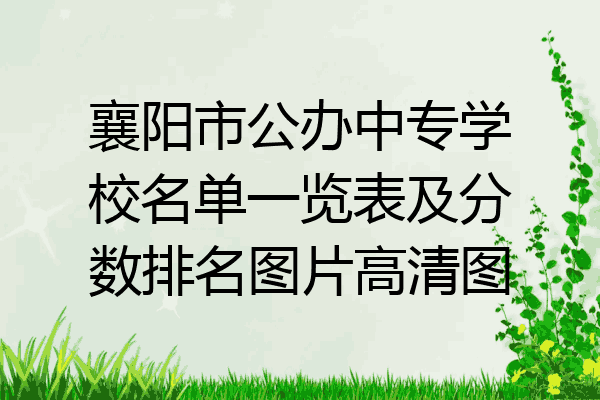 襄阳市公办中专学校名单一览表及分数排名图片高清图
