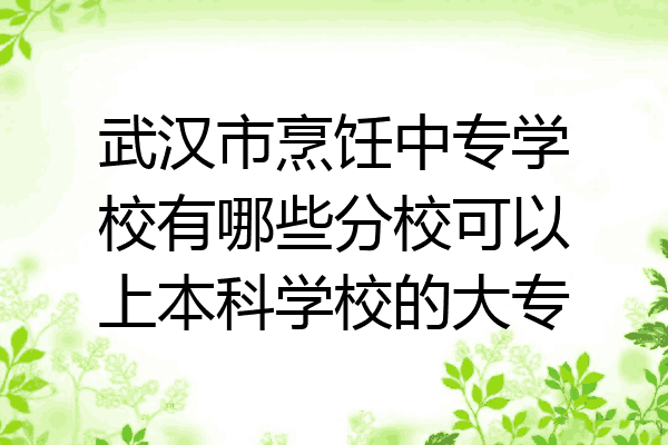 武汉市烹饪中专学校有哪些分校可以上本科学校的大专