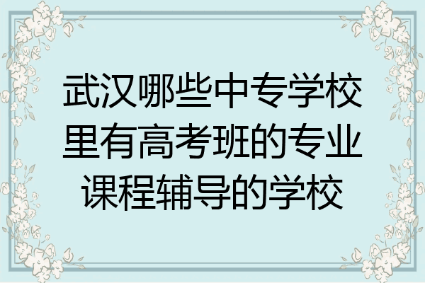 武汉哪些中专学校里有高考班的专业课程辅导的学校