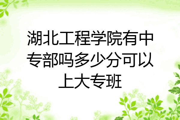 湖北工程学院有中专部吗多少分可以上大专班