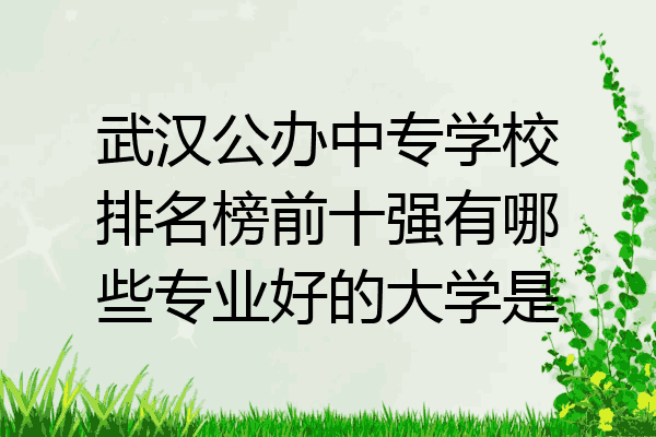 武汉公办中专学校排名榜前十强有哪些专业好的大学是