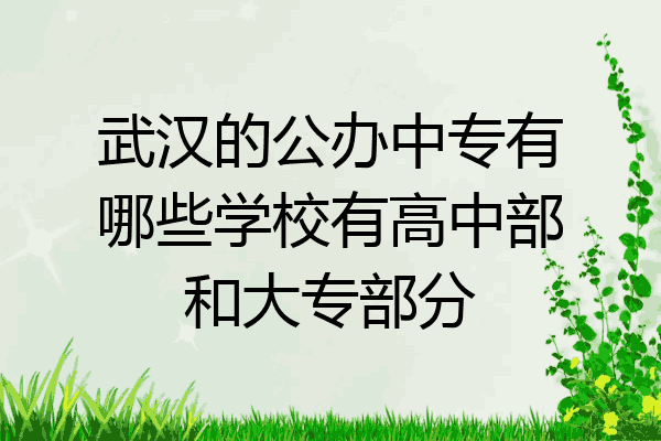武汉的公办中专有哪些学校有高中部和大专部分