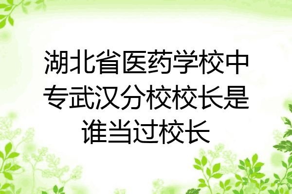 湖北省医药学校中专武汉分校校长是谁当过校长