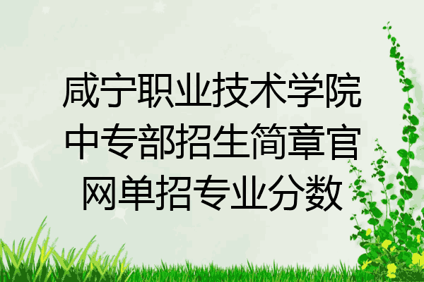 咸宁职业技术学院中专部招生简章官网单招专业分数