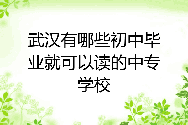 武汉有哪些初中毕业就可以读的中专学校