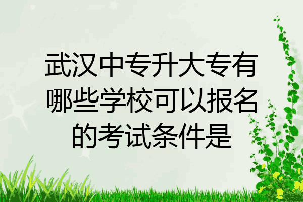武汉中专升大专有哪些学校可以报名的考试条件是