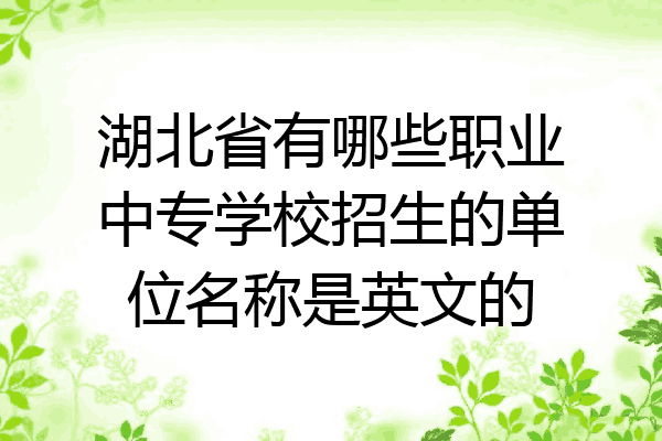 湖北省有哪些职业中专学校招生的单位名称是英文的