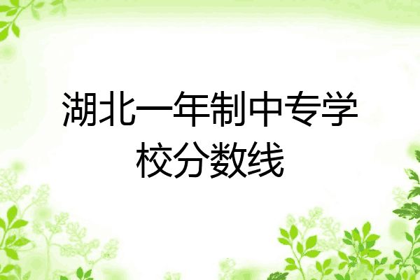 湖北一年制中专学校分数线