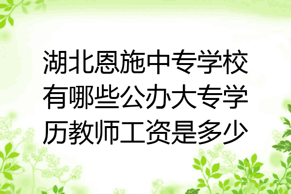 湖北恩施中专学校有哪些公办大专学历教师工资是多少