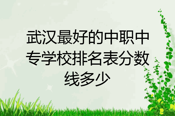 武汉最好的中职中专学校排名表分数线多少