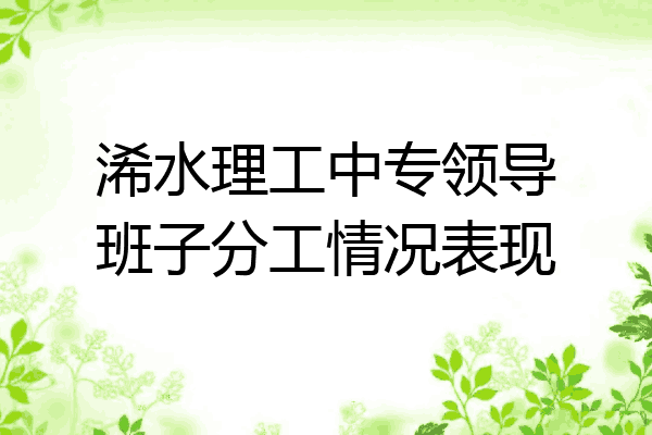 浠水理工中专领导班子分工情况表现