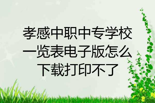 孝感中职中专学校一览表电子版怎么下载打印不了
