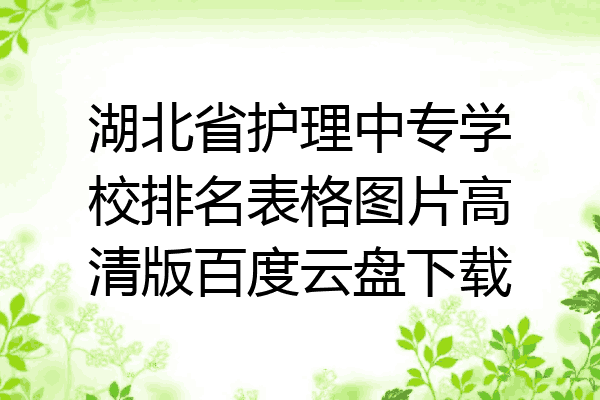 湖北省护理中专学校排名表格图片高清版百度云盘下载
