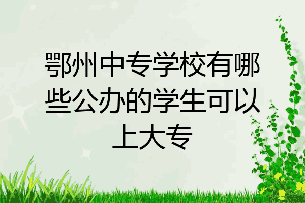 鄂州中专学校有哪些公办的学生可以上大专