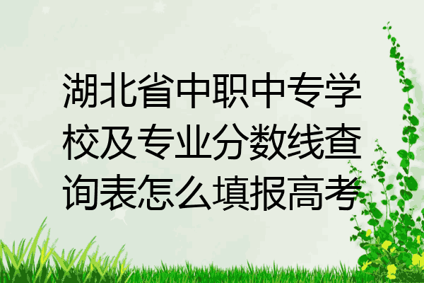 湖北省中职中专学校及专业分数线查询表怎么填报高考