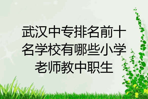武汉中专排名前十名学校有哪些小学老师教中职生