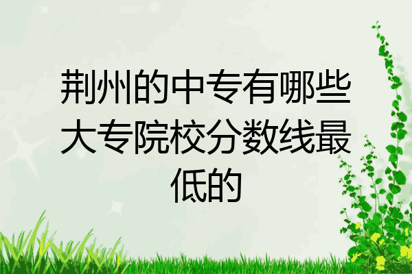 荆州的中专有哪些大专院校分数线最低的