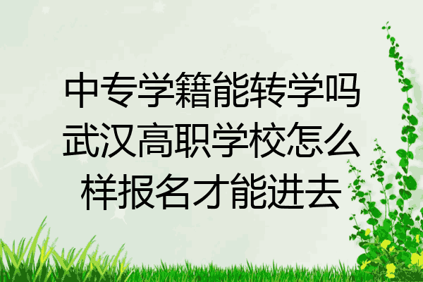 中专学籍能转学吗武汉高职学校怎么样报名才能进去
