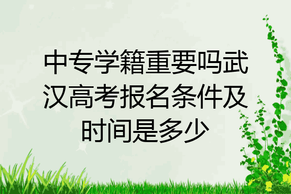 中专学籍重要吗武汉高考报名条件及时间是多少