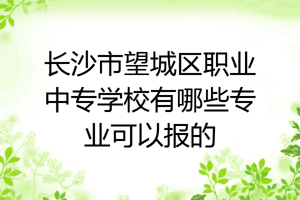 长沙市望城区职业中专学校有哪些专业可以报的