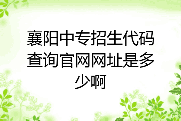 襄阳中专招生代码查询官网网址是多少啊