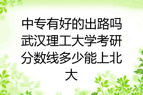 中专有好的出路吗武汉理工大学考研分数线多少能上北大
