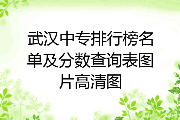 武汉中专排行榜名单及分数查询表图片高清图