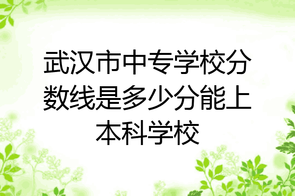 武汉市中专学校分数线是多少分能上本科学校