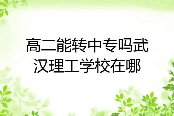高二能转中专吗武汉理工学校在哪