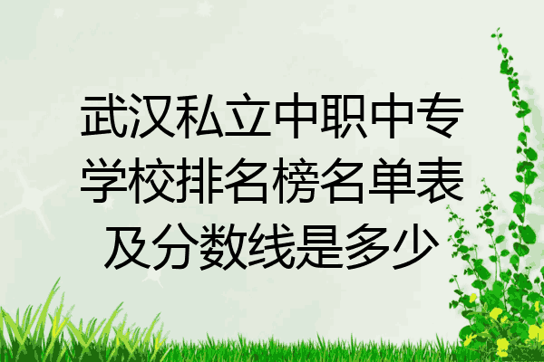 武汉私立中职中专学校排名榜名单表及分数线是多少