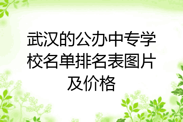 武汉的公办中专学校名单排名表图片及价格