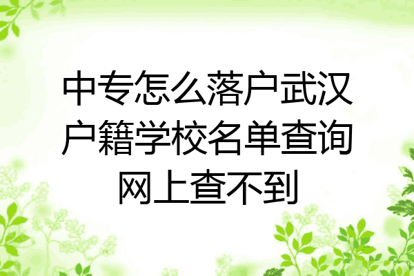中专怎么落户武汉户籍学校名单查询网上查不到